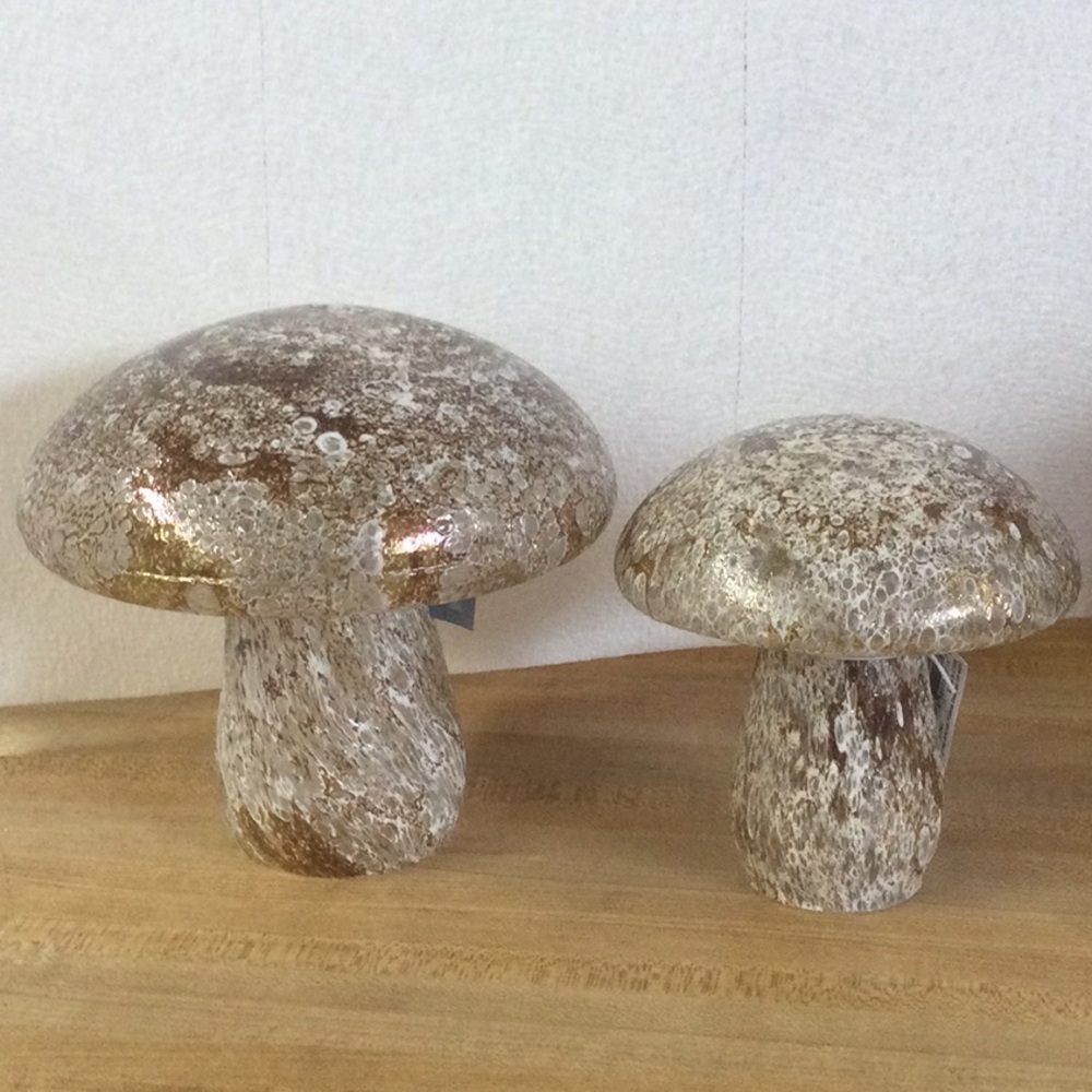 New Glass Mushrooms Art